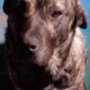 Meet your Posher, Ben